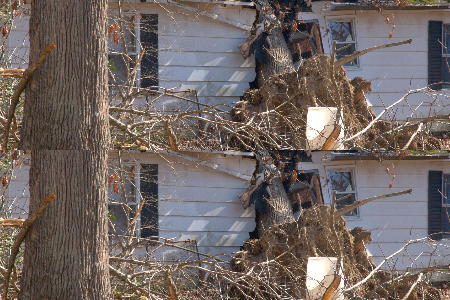 ice storm damage